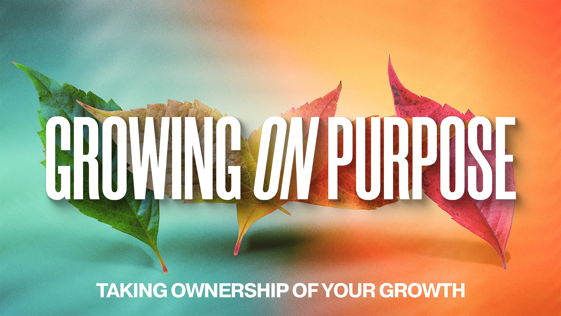 Christian Sermon Series - Image 12