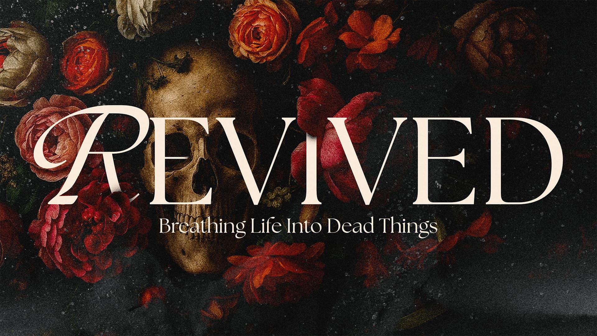 Christian Sermon Series - Image 7